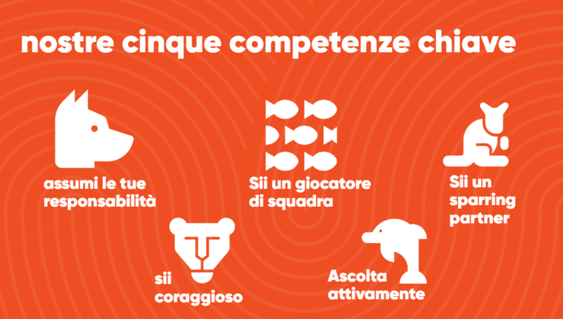 nostre cinue competenze chiave