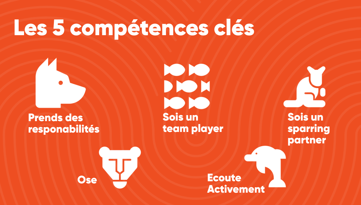 Les  Compétences Clés